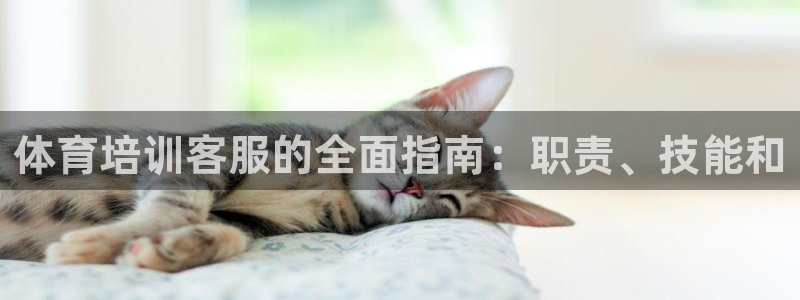 极悦平台官方网站首页入口：体育培训客服的全面指南：职