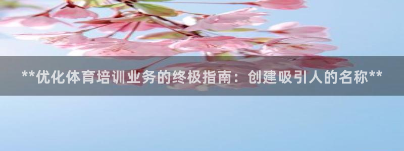 极悦平台注册和登录页面：**优化体育培训业务的终极指