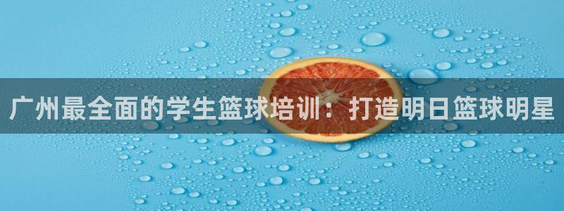 极悦平台是正规平台吗：广州最全面的学生篮球培训：打造
