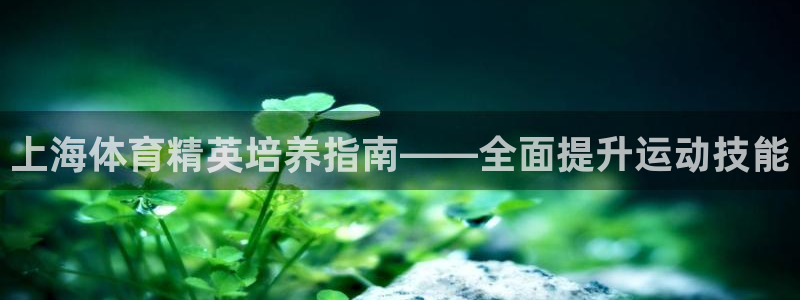 极悦娱乐官网app下载苹果版：上海体育精英培养指南—