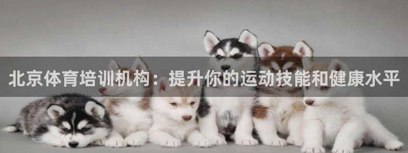 极悦官网旗舰店地址：北京体育培训机构：提升你的运动技