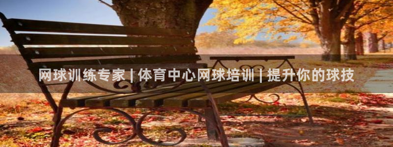 极悦平台注册流程详解图：网球训练专家 | 体育中心网