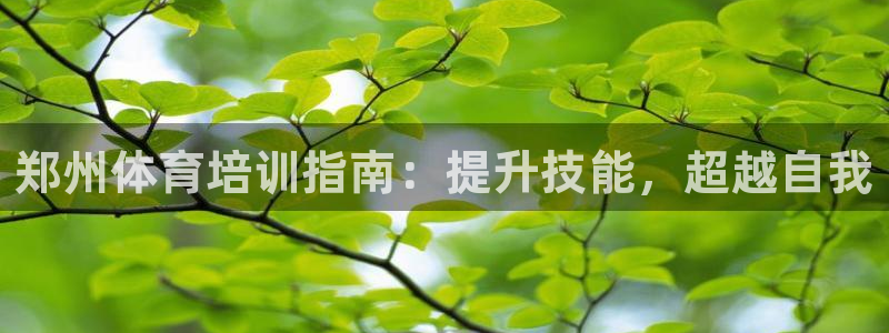 极悦平台官方网址是多少：郑州体育培训指南：提升技能，