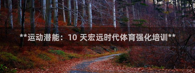 极悦平台注册流程详解：**运动潜能：10 天宏远时代