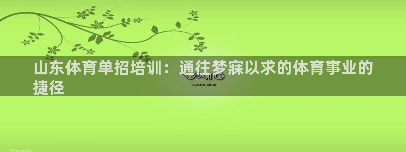 极悦娱乐官网最新版本更新内容是什么：山东体育单招培训