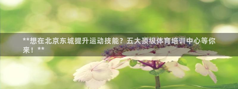 极悦平台是正规平台吗是真的吗：**想在北京东城提升运