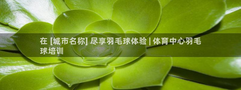 极悦平台注册用户名验证失败：在 [城市名称] 尽享羽