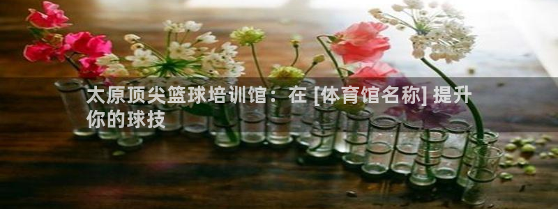 极悦平台官网登录入口：太原顶尖篮球培训馆：在 [体育