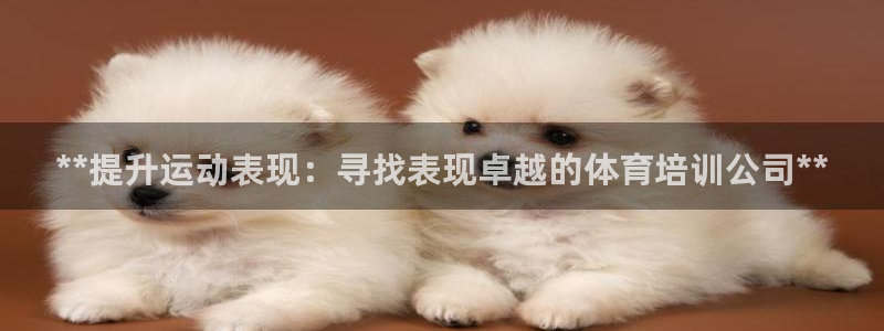 极悦平台注册和登录页面不一样：**提升运动表现：寻找