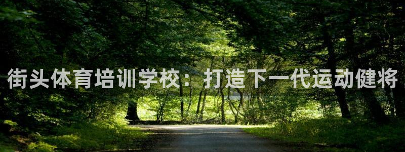 极悦牙膏怎么样好用吗：街头体育培训学校：打造下一代运