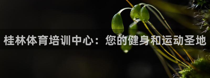 极悦平台用户评价：桂林体育培训中心：您的健身和运动圣
