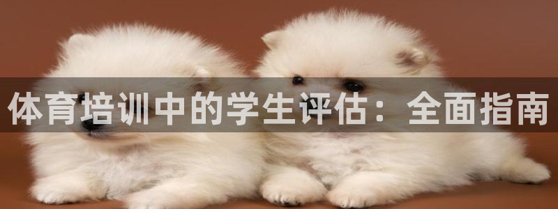 极悦平台和蓝狮平台区别：体育培训中的学生评估：全面指