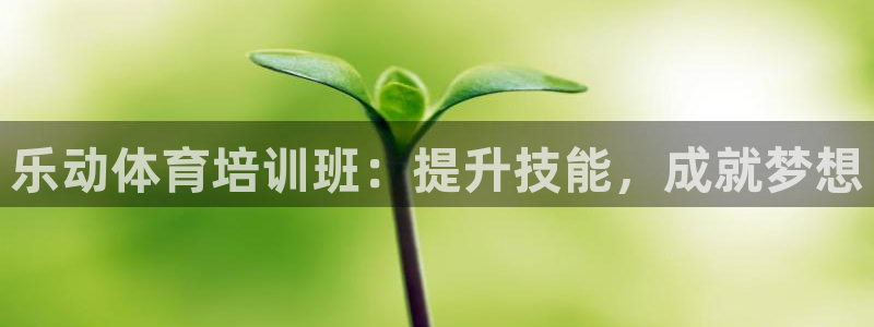 极悦平台创始人背景故事：乐动体育培训班：提升技能，成