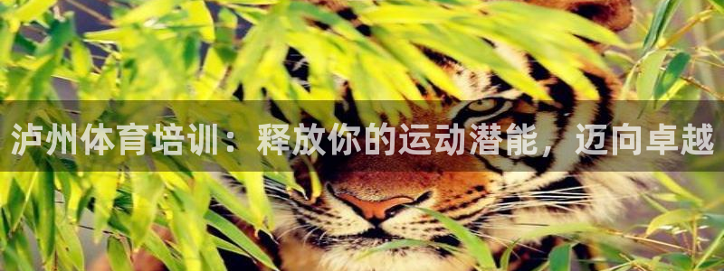 极悦娱乐登录网站每天的工作内容：泸州体育培训：释放你