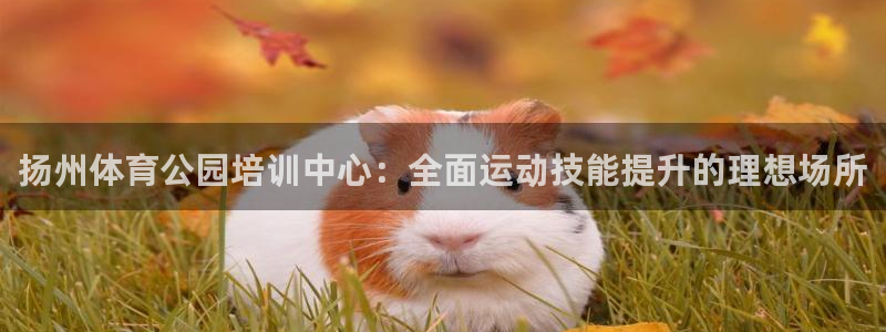 极悦娱乐代理怎么样可靠吗：扬州体育公园培训中心：全面