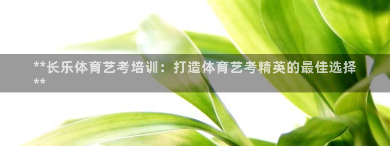 极悦平台注册和登录页面：**长乐体育艺考培训：打造体