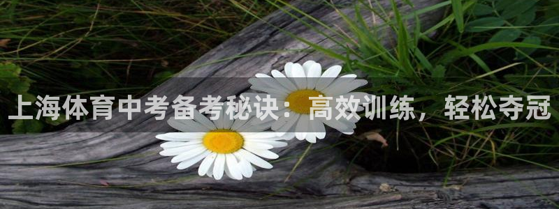 极悦平台注册用户名验证：上海体育中考备考秘诀：高效训