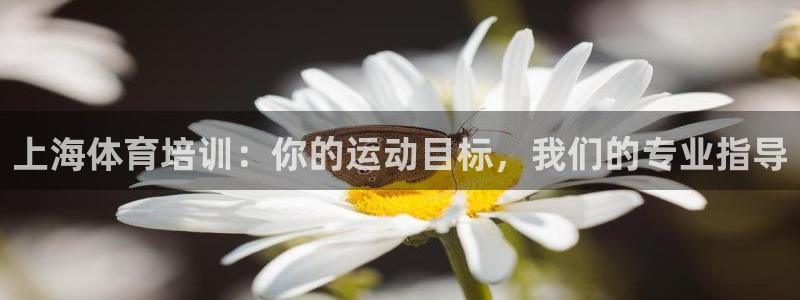 极悦娱乐旗下艺人名单：上海体育培训：你的运动目标，我