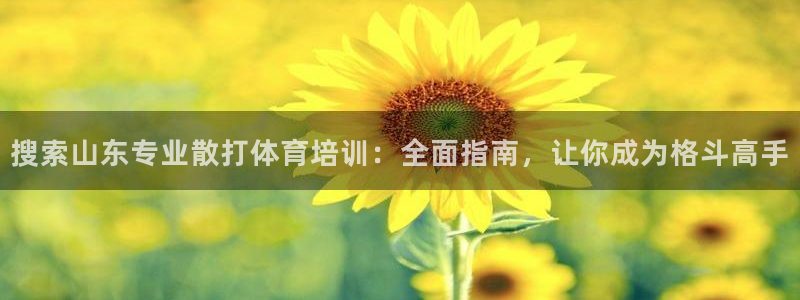 极悦官网首页登录入口：搜索山东专业散打体育培训：全面
