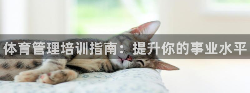 极悦平台是干什么的软件：体育管理培训指南：提升你的事