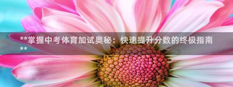 加盟极悦教育怎么样：**掌握中考体育加试奥秘：快速提