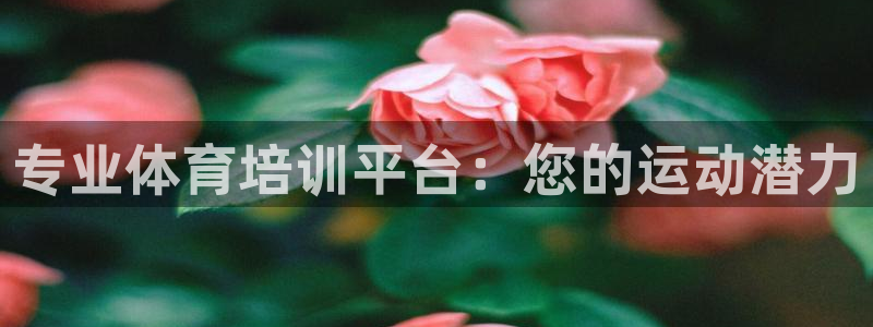 极悦平台注册太7.0.2.4好用吗：专业体育培训平台