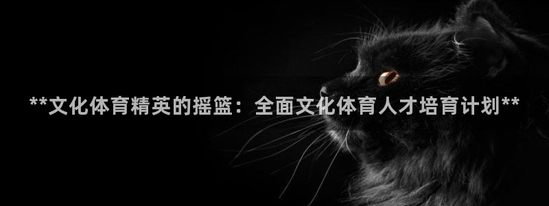 极悦娱乐登录拒绝访问怎么办：**文化体育精英的摇篮：
