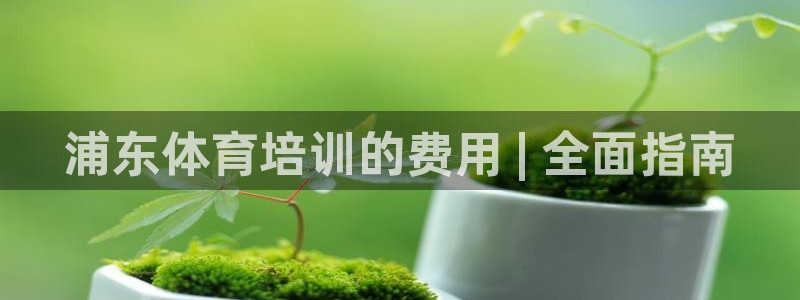 极悦娱乐贴吧官网：浦东体育培训的费用 | 全面指南
