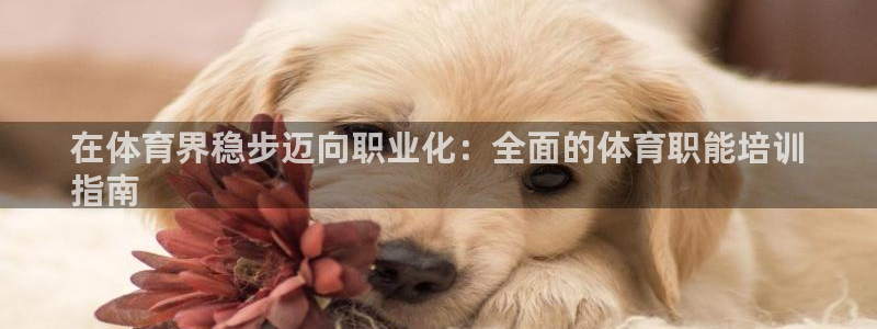 极悦平台app安全吗是真的吗：在体育界稳步迈向职业化