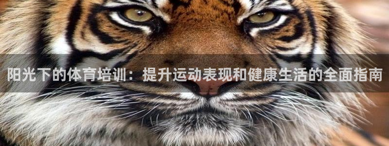极悦平台代理电话：阳光下的体育培训：提升运动表现和健