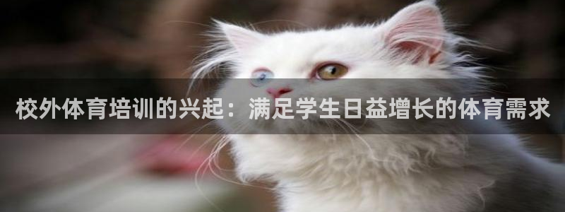 极悦平台注册用户名格式不正确：校外体育培训的兴起：满