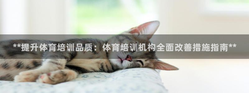 极悦官方网站app下载安卓：**提升体育培训品质：体