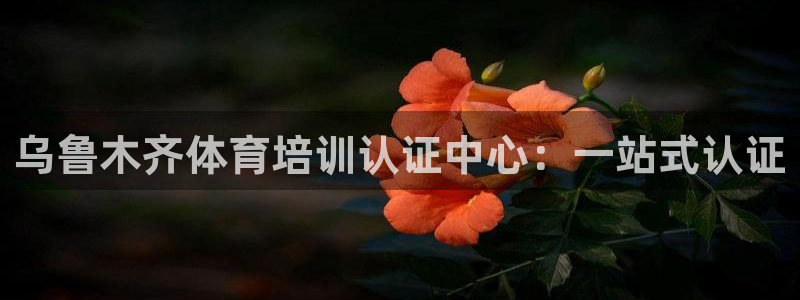 极悦娱乐登录网站每天的工作内容：乌鲁木齐体育培训认证