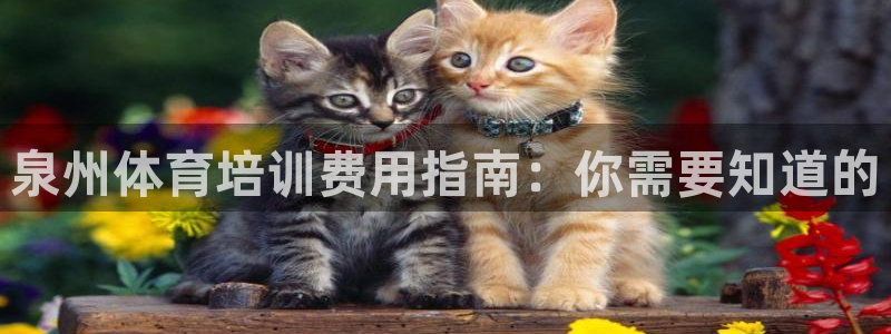 极悦平台官网登录不了：泉州体育培训费用指南：你需要知