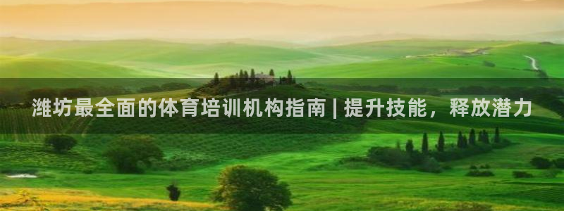 极悦平台用户评价怎么样：潍坊最全面的体育培训机构指南
