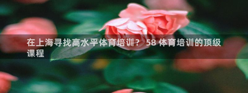 加盟极悦教育怎么样：在上海寻找高水平体育培训？ 58