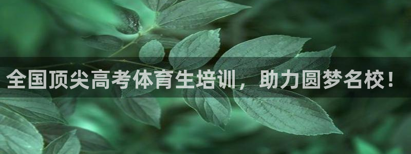 极悦娱乐代理人是谁：全国顶尖高考体育生培训，助力圆梦