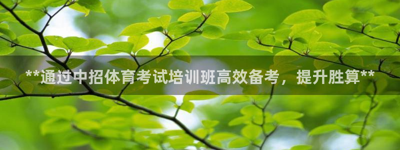 极悦牙膏怎么样好用吗：**通过中招体育考试培训班高效