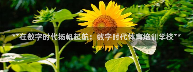 极悦生活家是什么平台的产品：**在数字时代扬帆起航：