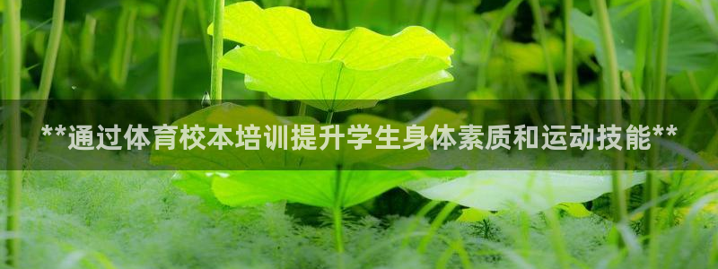极悦平台代理怎么样可靠吗：**通过体育校本培训提升学