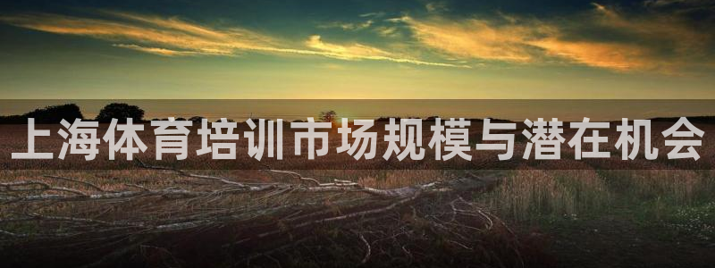 极悦平台官网登录不了怎么办：上海体育培训市场规模与潜