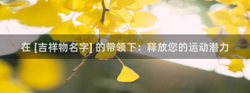 极悦平台登录入口注册账号：在 [吉祥物名字] 的带领