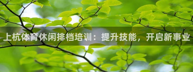 极悦娱乐官网下载：上杭体育休闲排档培训：提升技能，开