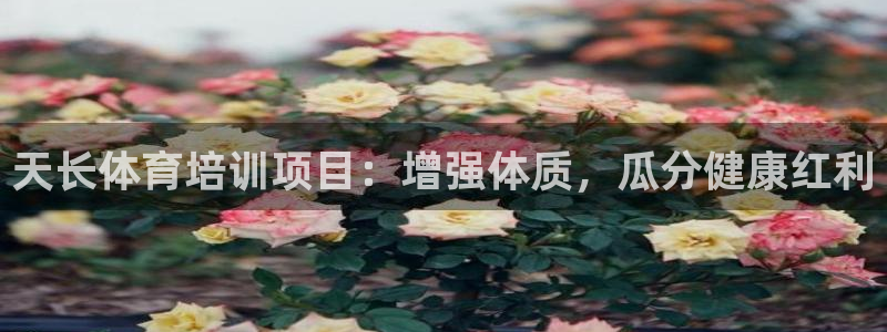 极悦娱乐官网最新版本更新内容是什么：天长体育培训项目