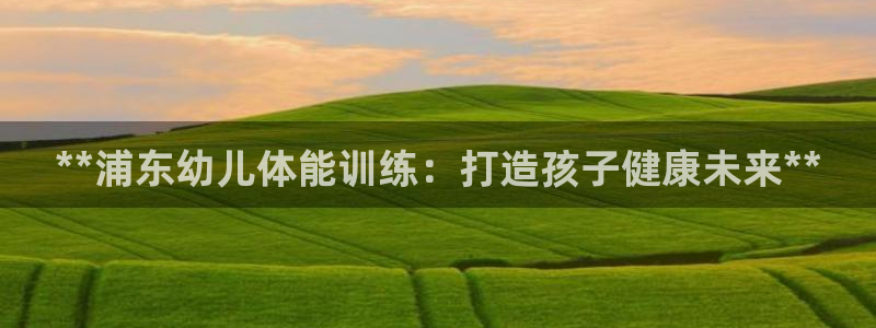 极悦平台官方网站首页：**浦东幼儿体能训练：打造孩子