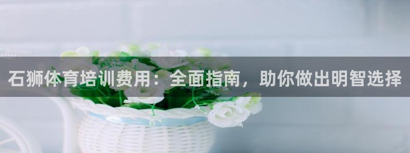 极悦娱乐股东结构：石狮体育培训费用：全面指南，助你做