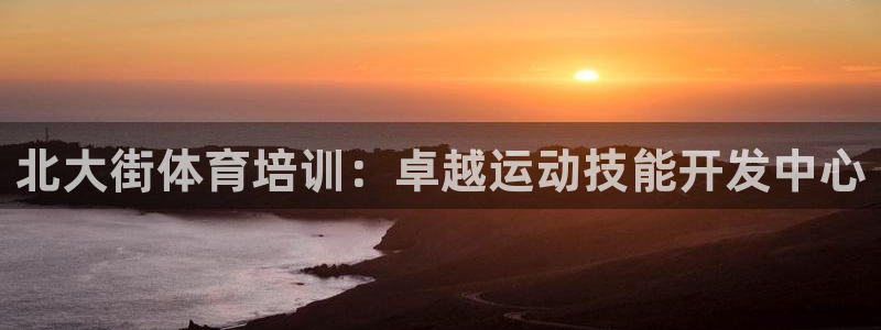 极悦平台代理：北大街体育培训：卓越运动技能开发中心