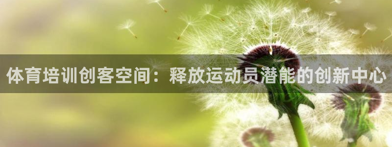 极悦平台客服的联系方式是：体育培训创客空间：释放运动