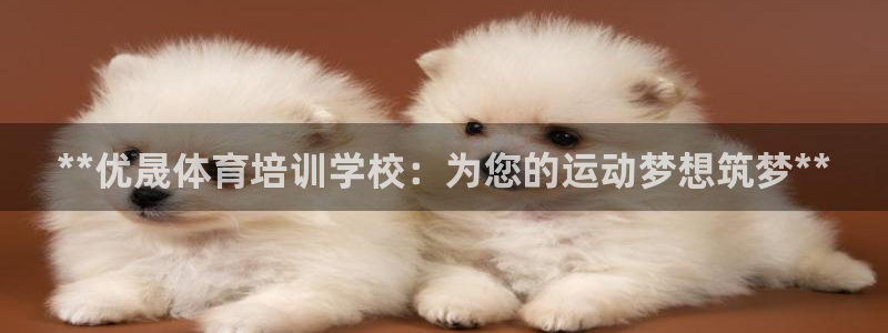 极悦娱乐最新版本更新内容分享：**优晟体育培训学校：