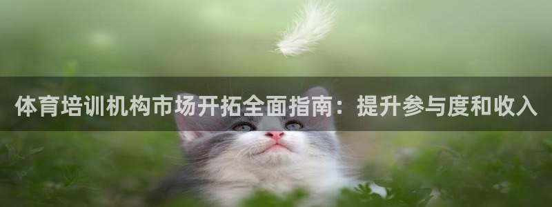 极悦平台是干什么的啊：体育培训机构市场开拓全面指南：
